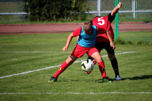 爱游戏官网充值-中国足球俱乐部运营效率调查,中国足球俱乐部运营效率调查问卷